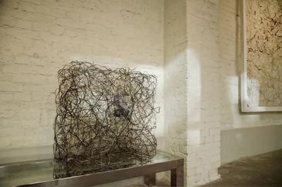 Isabella Trimmel, wire sculpture, at exhibition