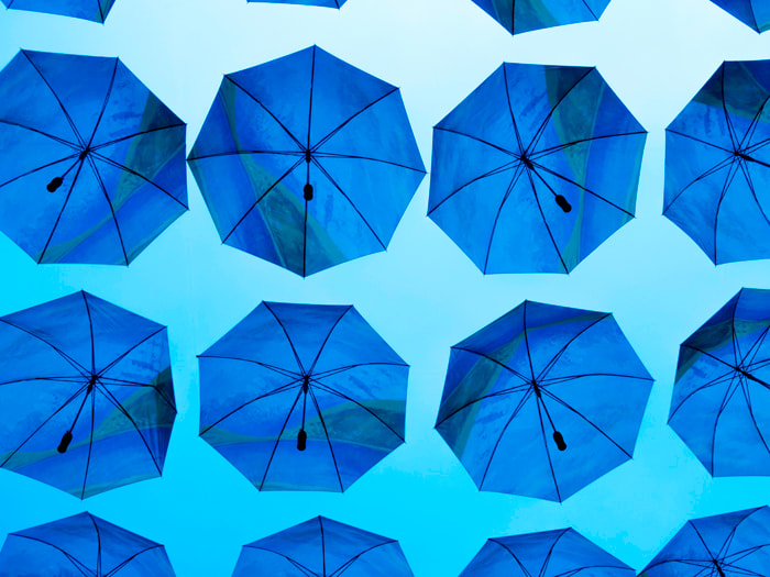 Umbrellas_1358_Blue_45x60in by Petra Trimmel