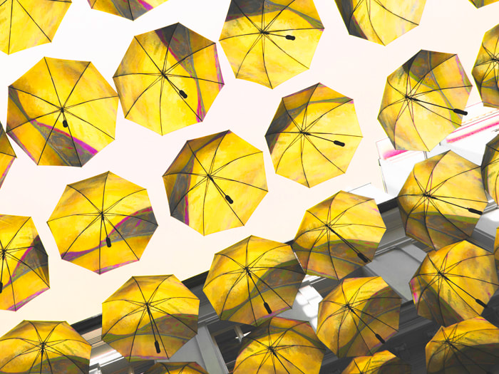 Umbrellas_1358B_Yellow_45x60in by Petra Trimmel