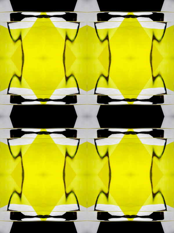 Yellow Set_0192 | art licensing | wall covering art pattern